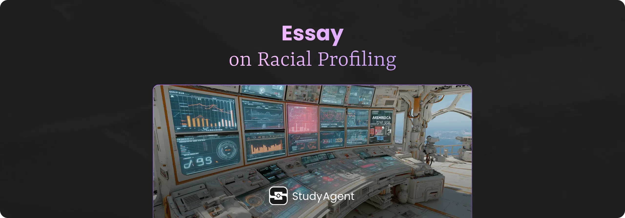Essay on Racial Profiling
