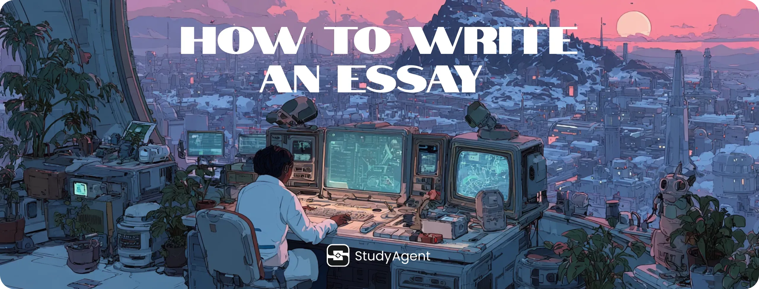 How to Write an Essay