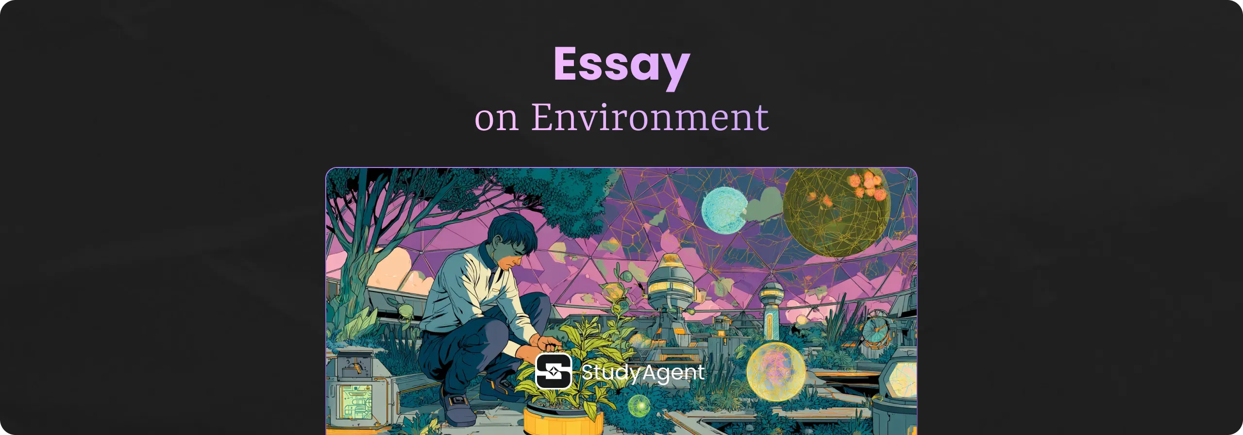 Essay on Environment